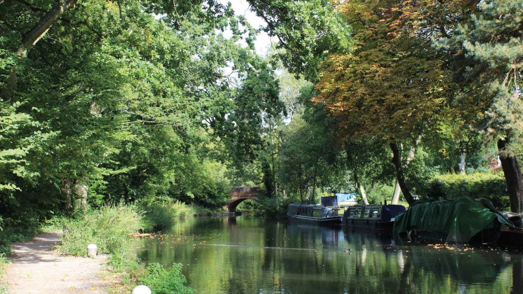 Basingstoke Canal