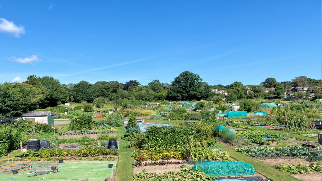 View from Colebrooke Lodge