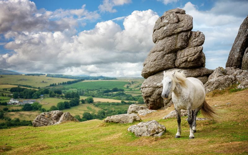 Dartmoor Devon