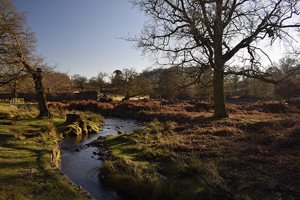 Leicestershire Bradgate Park