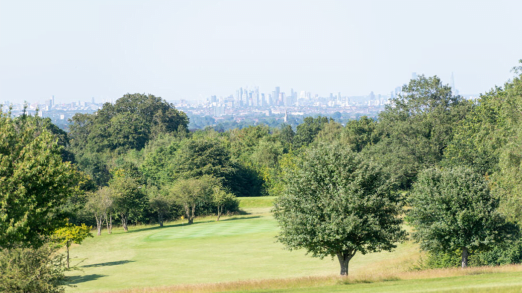 eltham local area golf course